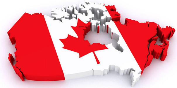 加拿大生子签证