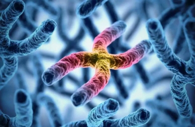 染色体经常查，核型分析报告你能正确解读吗？